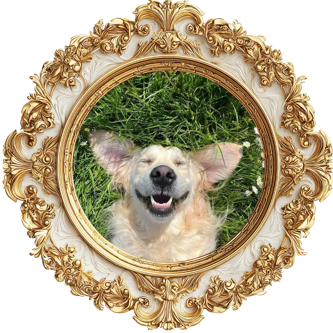 Framed pet portrait