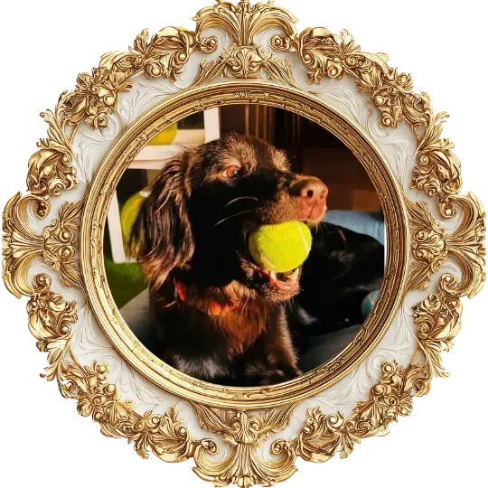 Framed pet portrait